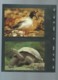 Delcampe - WWF - ECUADOR - FAUNA GALAPAGOS - 1992, Ensemble Complet -  Car118 - Collections, Lots & Series