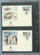 Delcampe - WWF -  British Antartic Territory  1986 ,  Ensemble Complet -  Car119 - Colecciones & Series