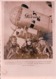 Aviation, Pilotes De L'Armée Russe, Grizodoubova, Ossipenko, Raskkova Devant Leur Appareil RODUNA (4798) 10x15 - 1939-1945: 2de Wereldoorlog