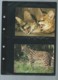 Delcampe - Burundi - 1992 WWF Serval ** Ensemble Complet 10 Scans   -  Car 120 - Collections, Lots & Séries