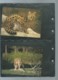 Delcampe - Burundi - 1992 WWF Serval ** Ensemble Complet 10 Scans   -  Car 120 - Colecciones & Series