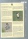 Cuba - 1992 - N°Yv. 3224 à 3227 - Oiseau-mouche / WWF Ensemble Complet 10 Scans   -  Car 121 - Colecciones & Series