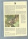 Delcampe - Cuba - 1992 - N°Yv. 3224 à 3227 - Oiseau-mouche / WWF Ensemble Complet 10 Scans   -  Car 121 - Verzamelingen & Reeksen