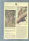 Delcampe - WWF 1992 GUINEA-BISSAU / GUINEE BISSAU - Mi. 1185-88**  Singe Ensemble Complet 10 Scans   -  Car 122 - Collections, Lots & Series