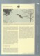 Delcampe - WWF 1992 GUINEA-BISSAU / GUINEE BISSAU - Mi. 1185-88**  Singe Ensemble Complet 10 Scans   -  Car 122 - Verzamelingen & Reeksen