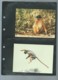 Delcampe - WWF 1992 GUINEA-BISSAU / GUINEE BISSAU - Mi. 1185-88**  Singe Ensemble Complet 10 Scans   -  Car 122 - Lots & Serien