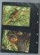 Delcampe - WWF 1992 GUINEA-BISSAU / GUINEE BISSAU - Mi. 1185-88**  Singe Ensemble Complet 10 Scans   -  Car 122 - Colecciones & Series