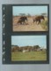 Delcampe - Uganda 1983 WWF - African Elephant Animal Wild Life Fauna Sc 371-774  Ensemble Complet 10 Scans   -  Car 124 - Verzamelingen & Reeksen
