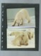 Delcampe - Russie - Faune WWF - L'OURS BLANC  , Y&T 5391 à 5394    Ensemble Complet 10 Scans   -  Car 125 - Collections, Lots & Series