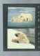 Delcampe - Russie - Faune WWF - L'OURS BLANC  , Y&T 5391 à 5394    Ensemble Complet 10 Scans   -  Car 125 - Colecciones & Series