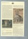 Belize 1983; WWF WildLife Fauna Animals Jaguar,     Ensemble Complet 10 Scans   -  Car 126 - Collections, Lots & Series