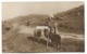 Peasant Shepherd Woman And Sheep - Old Romania Real Photo Postcard - Romania