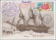 Delcampe - Thematik: Antarktis / Antarctic: 1952/2007, Sophisticated Collection/holding/accumulation Of 2000+ T - Other & Unclassified