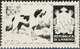 Thematik: Tiere-Hunde / Animals-dogs: 1956, San Marino, 100lire "Hunting Hound", Two Photographic B/ - Chiens