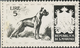 Thematik: Tiere-Hunde / Animals-dogs: 1956, San Marino, 5lire "Boxer", Two Photographic B/w Essays I - Honden