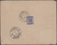 Delcampe - Österreichische Post In Der Levante: 1838/1912 Ca., Gehaltvoller Sammlungsbestand Mit Ca. 40 Belegen - Levante-Marken