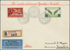 Schweiz: 1916/1977, Partie Von 43 Briefen Und Karten, Oft Mit Bezug Zum Völkerbund/Internationale Or - Collections