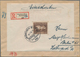 Delcampe - Deutsches Reich - 3. Reich: 1933-1945, Ca. 350 Briefe, Karten, Paketkarten, Ganzsachen Und Postkarte - Altri & Non Classificati