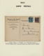 Delcampe - Memel: 1920/1923, Saubere Ungebrauchte/postfrische Sammlung Auf Selbstgestalteten Albenblättern, All - Memel (Klaïpeda) 1923