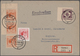 Delcampe - Deutsche Lokalausgaben Ab 1945: 1945, Dreibändige Spezialsammlung Mit Marken Briefstücken Und Etlich - Autres & Non Classés