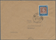 Delcampe - Bundesrepublik Deutschland: 1949/2019, Umfassende Sammlung Von Ca. 4.330 Briefen Und Karten, Augensc - Sammlungen