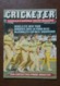 Delcampe - 10 CRICKETER AUSTRALIA MAGAZINE LOT 1980's !! - 1950-Hoy