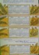 Delcampe - Lot De 4 CHROMOS CALENDRIER  1883 , FLEURS Et PETITES FILLES , 4 Advertising CARDS W CALENDAR , GIRLS & FLOWERS ,YOUTHS - Kleinformat : ...-1900