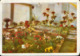 Germany - Postcard Used 1965 - Forst - Rosengarten - Roses Look   - 2/scans - Forst