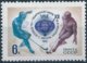 B5522 Russia USSR Sport Field Hockey ERROR (1 Stamp) - Hockey (Field)