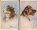 Illustrateur, Mac, Chiens, Lot De 2 Cartes        (bon Etat) - Mac Mahon