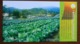 Vegetable Cabbage Planting Field,CN 06 Primary School Labor Technology Education Practice Base PSC,specimen Overprint - Vegetables