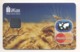 SPECIMEN Credit Card Wheat Field Bankcard BM Bank UKRAINE MasterCard (Not Activated) - Krediet Kaarten (vervaldatum Min. 10 Jaar)