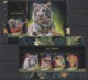 DJ75 2016 DJIBOUTI FAUNA ANIMALS WILD CATS TIGERS TIGRES KB+BL MNH - Big Cats (cats Of Prey)