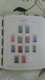 Delcampe - - COLLECTION TIMBRES EUROPA 1956 / 1975 EN ALBUM LEUCHTTURM - Cote 1300 EUR - - Collections