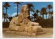 Egypt, Giza, The Sphinx Of Sakkara, Unused Postcard [23586] - Gizeh