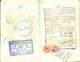 Delcampe - UAE , Egypt, Saudi Arabia And France Revenue Stamps Collection On Complete Passport - Condition As In Scan - Emirati Arabi Uniti