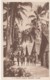 Solomon Islands, Native Villages And Huts, South Pacific Oceania, C1930s/50s Vintage Postcard - Islas Salomon