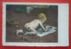 NAKED BOY DRAWING , AUSTRIAN ART POSTCARD - Kinder-Zeichnungen