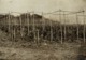 KENT ENGLAND  HOP PICKING  Hopfenanbaugebietes    16*12CM Fonds Victor FORBIN 1864-1947 - Profesiones