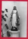 CARTOLINA VG ITALIA - Immacolata - Studentato S. Maria Bambina BELLUNO - 10 X 15 - 1971 ZOLDO ALTO - Vergine Maria E Madonne