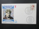 Delcampe - Berlin Freimarken / Dauerserie Frauen Der Geschichte FDC 15 Verschiedene Umschläge. Hoher Katalogwert - Storia Postale