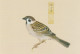 AKJP Japan Postcards Showing Paintings - Birds - Crested Ibis - Sparrow - Rufous-bellied Thrush - Colecciones Y Lotes