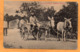 Dominica BWI 1908 Postcard - Dominique
