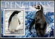 Delcampe - Pingouins - Pinguine