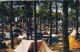 85. SAINT HILAIRE DE RIEZ.( ENVOYÉ DE). CAMPING EN VENDEE. ANNÉE 1965 + TEXTE - Saint Hilaire De Riez