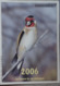 Petit Calendrier De Poche 2006 Oiseau Chardonneret Pharmacie Smarves Vienne - Petit Format : 2001-...