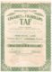 Titre Ancien - Manufacture De Cigares & Cigarillos TAF - S.A. - Anciens Ets Thiriart-Andrien & Fils - Titre De 1929 - - Industrie