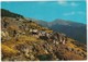 Environs De Annot : Peyresq, Altitude 1528 Mètres - (Alpes De Haute Provence) - Castellane