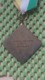 Medaille :Netherlands  -  St. Nicolaas Mars - D.V.S Nijmegen  / Vintage Medal - Walking Association - Sonstige & Ohne Zuordnung
