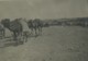 Maroc Oujda Presence Militaire Française 12 Anciennes Photos 1910 - Afrique